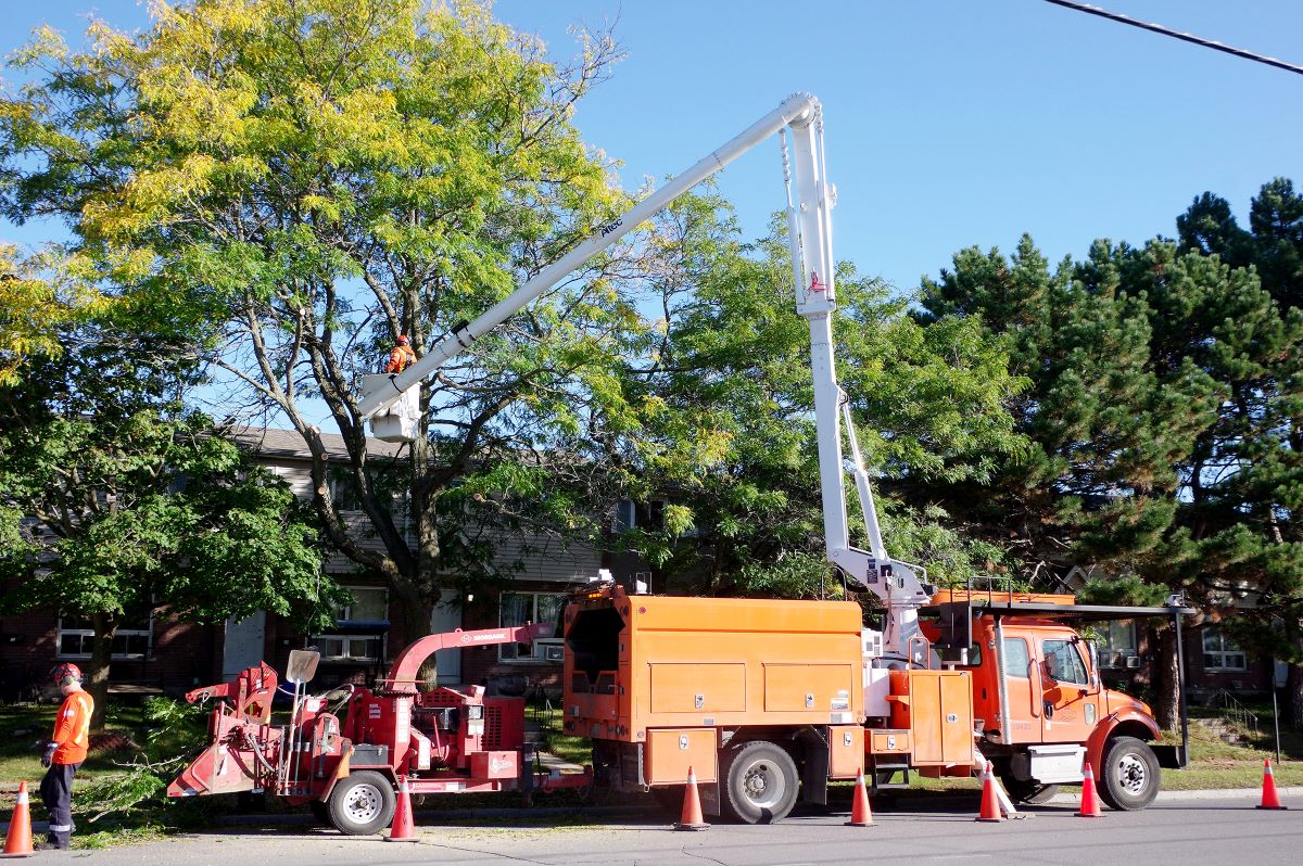Hydro work.